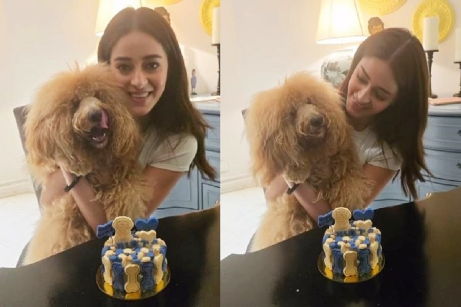 Ananya Panday celebrates first birthday of her baby jaan Riot